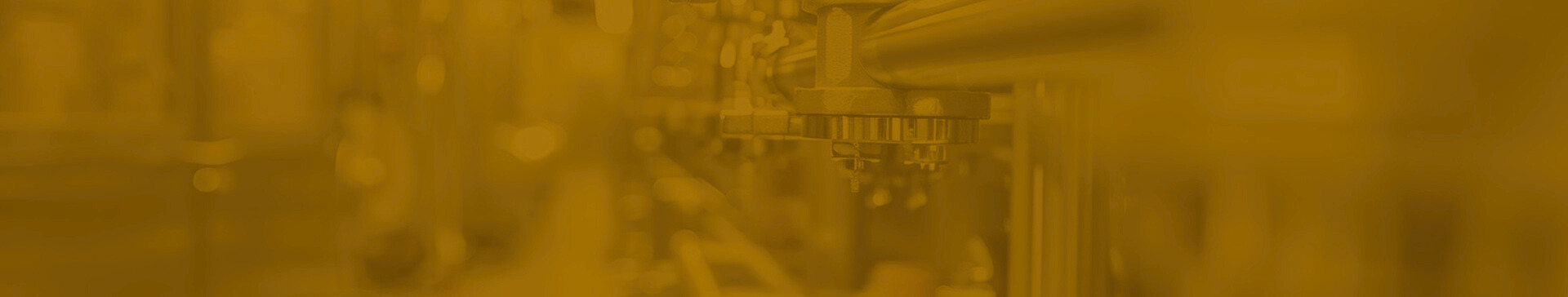 Thiết Kế Chưa Có Tên (7)